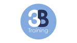 3B logo