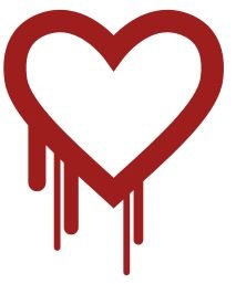 Heartbleed bug caused security breach 