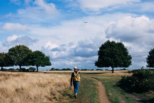 Tailoring learning journeys to each individual