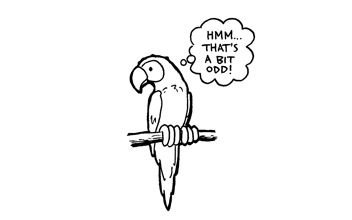 Parrot saying something is odd