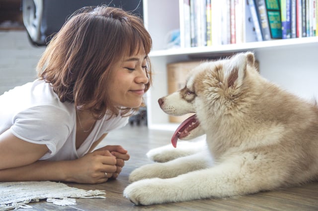 An office dog is great, but meaningful culture is better