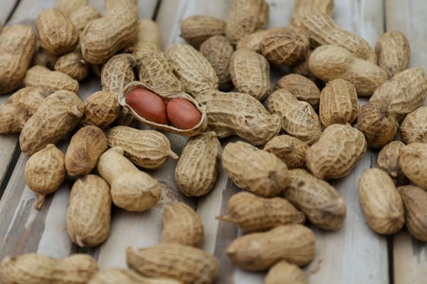 Peanuts in shells