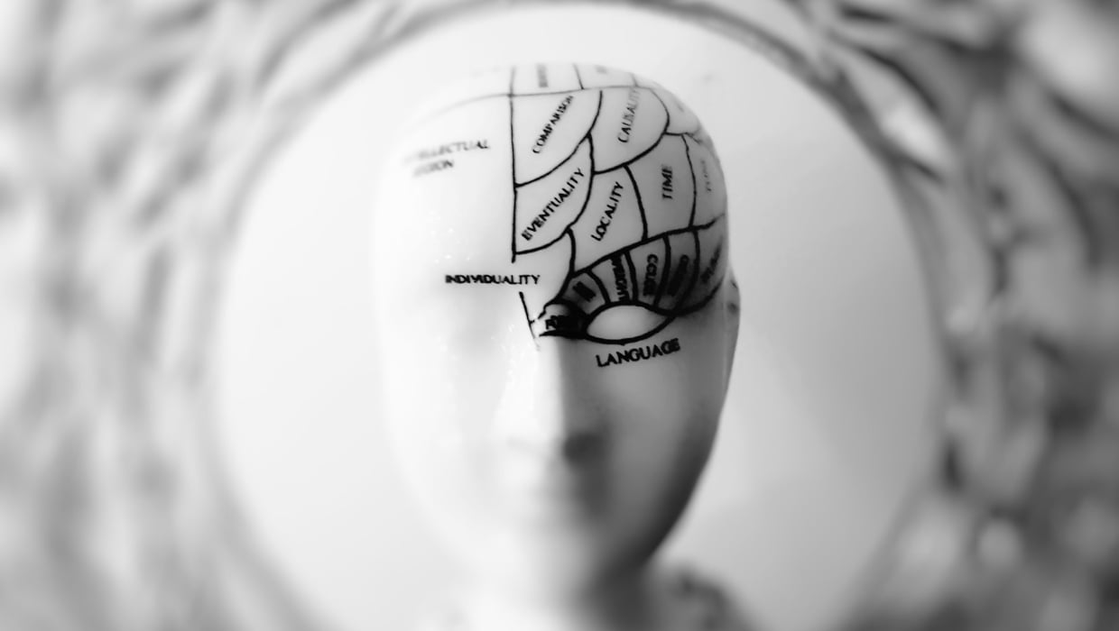 doctors brain map head, depicting soft skills