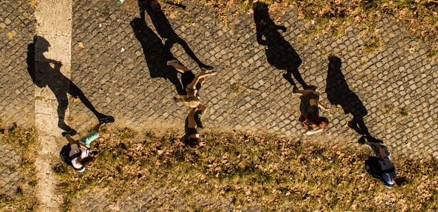 People walking on grassy path with shadows