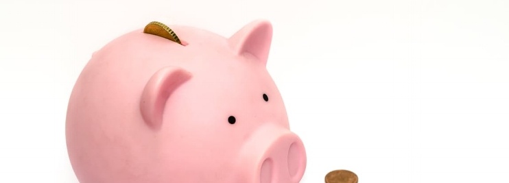 Piggy bank with coins going in